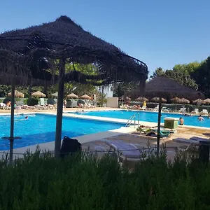 check availability